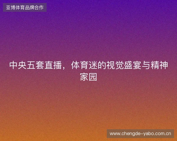 中央五套直播，体育迷的视觉盛宴与精神家园